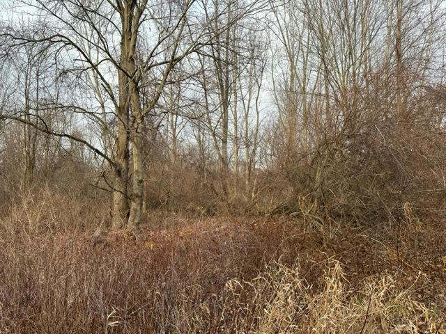 12 ACRES BRIDGES, METAMORA, MI 48455, photo 1 of 6