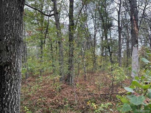 10 ACRES W 6 MILE RD, GRAYLING, MI 48738, photo 1 of 6