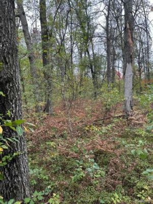 10 ACRES W 6 MILE RD, GRAYLING, MI 48738, photo 2 of 6