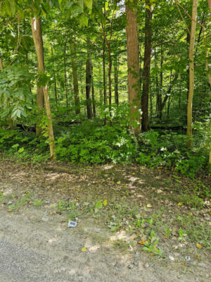 000 MCCLEMENTS ROAD, BRIGHTON, MI 48114 - Image 1