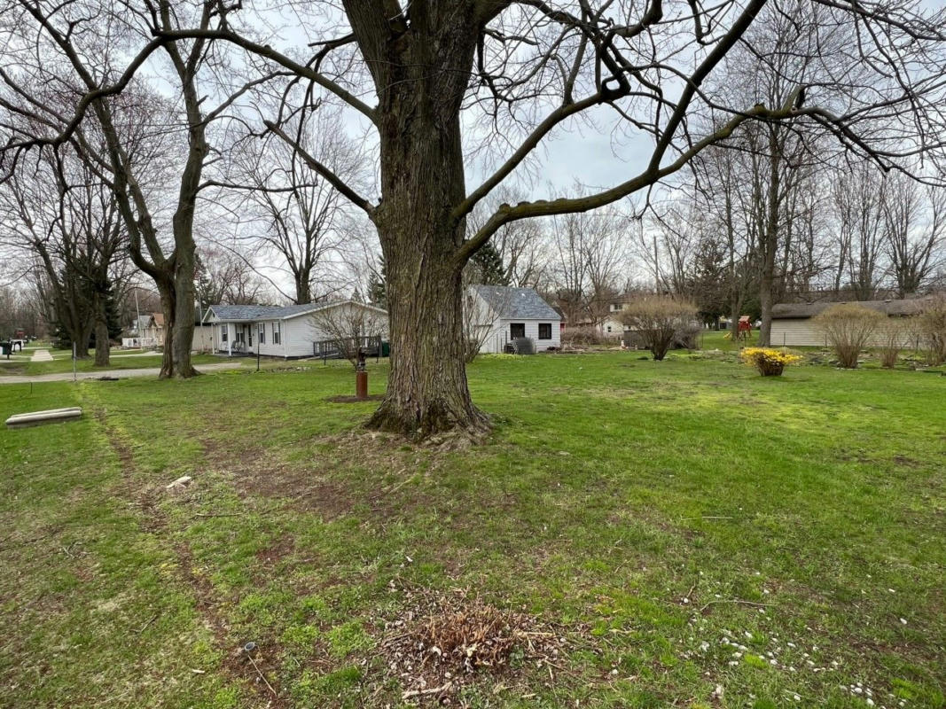 00 ADA STREET, BROWNSTOWN, MI 48183, photo 1 of 2