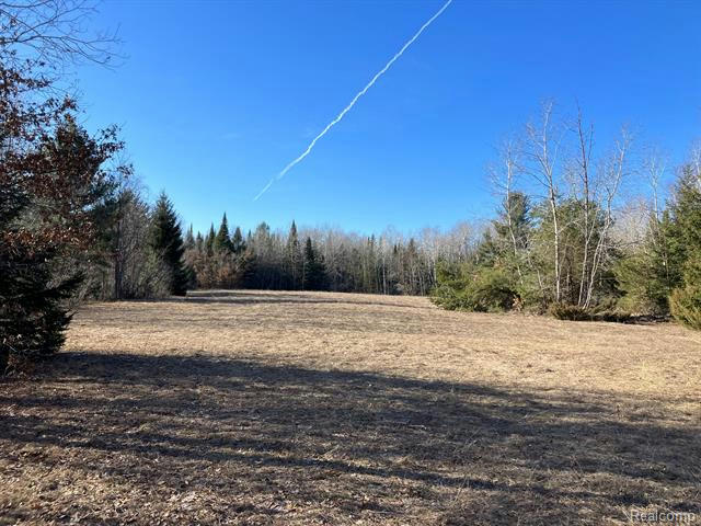 VACANT LAND M-76, WEST BRANCH, MI 48661, photo 1 of 9