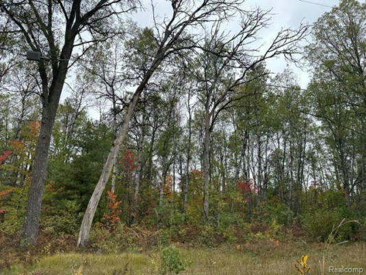 10 ACRES W 6 MILE RD, GRAYLING, MI 48738, photo 3 of 6