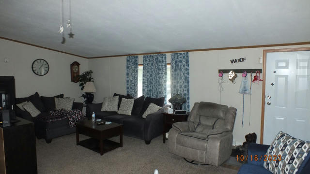 1859 ELIZABETH BLVD, NEWPORT, MI 48166, photo 5 of 21