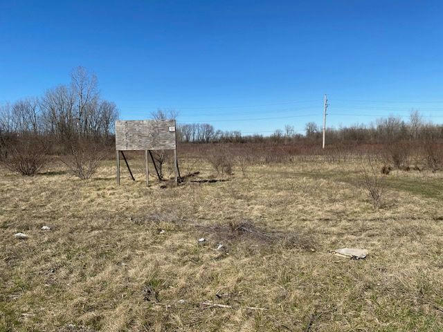 50990 WILLIS RD, BELLEVILLE, MI 48111, photo 1