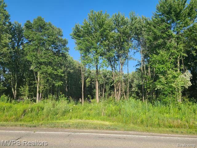 51760 S FOSTER RD, CHESTERFIELD, MI 48047, photo 1